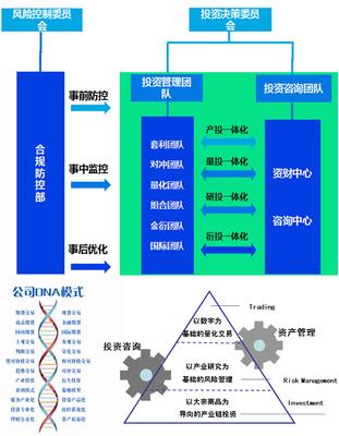 白石17号产品要素与投资咨询解析