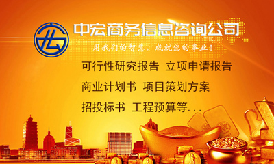 关于龙岩市专业化可行性分析报告代写与投资咨询服务的可行性研究报告